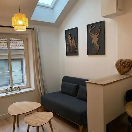 Nouveau-l'alsakrat-au Coeur De 묑스테르