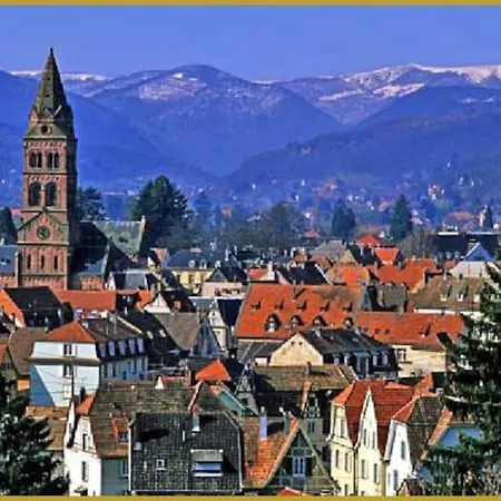 Daire Nouveau-l'alsakrat-au Coeur De Munster (Haut-Rhin)